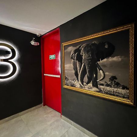 Hotel Zelva Negra Medellin Ngoại thất bức ảnh